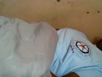 Bongacams Sex Cam of Rosah