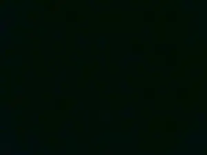 Cam4 Sex Cam of Sofiavixen