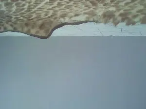 Cam4 Sex Cam of africanpgh