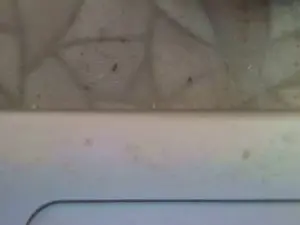 Cam4 Sex Chat of bomalbelbit