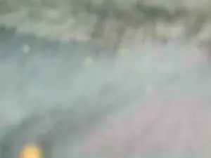 Cam4 Sex Chat of sebcbien42