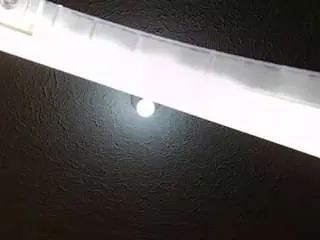 Camsoda Best Webcam of soyfer