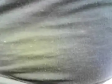 Chaturbate Best live sex cam show of felicaste
