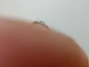 Chaturbate Adult Video Chat of luluberlu042